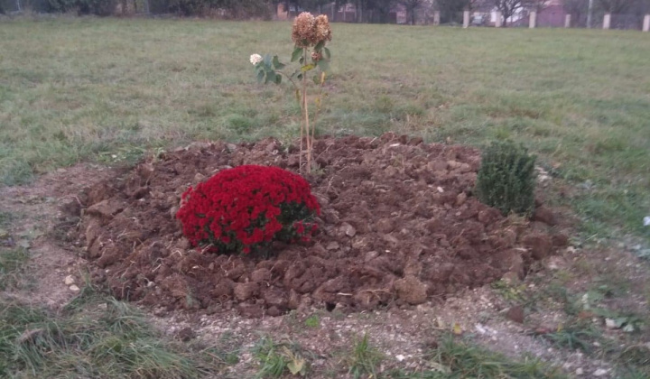 2. fotografia fotogalérie nadacie orange 2019