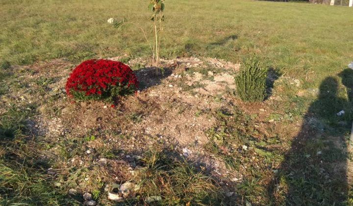 3. fotografia fotogalérie nadacie orange 2019