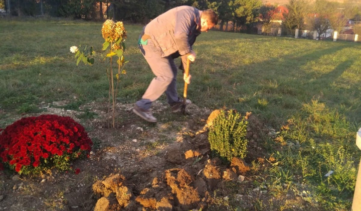 5. fotografia fotogalérie nadacie orange 2019