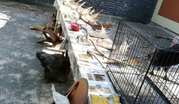 12. fotografia fotogalérie Rozprávkový pochod – 29.6.2019