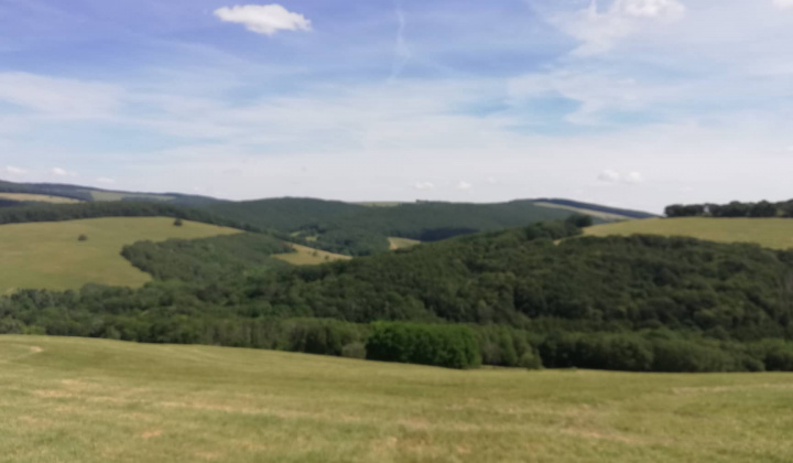 15. fotografia fotogalérie Rozprávkový pochod – 29.6.2019