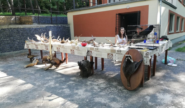 16. fotografia fotogalérie Rozprávkový pochod – 29.6.2019