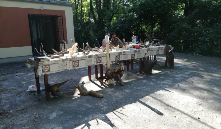 19. fotografia fotogalérie Rozprávkový pochod – 29.6.2019