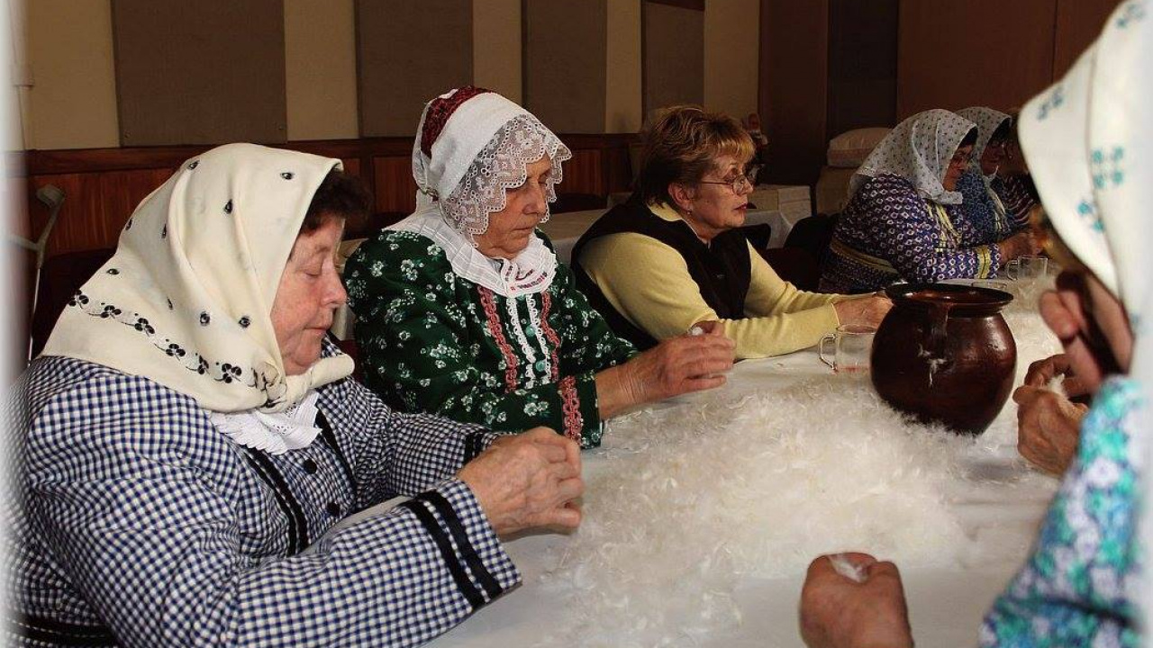 Fotografia fotogalérie Drápaní perá