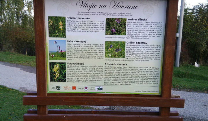1. fotografia fotogalérie Projekty / Havran – oddychové miesto pre všetkých - foto