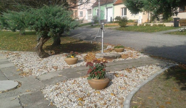 1. fotografia fotogalérie Projekty / Park v strede dediny bol upravený, revitalizovaný a doplnený o nové kvety a kríky. - foto