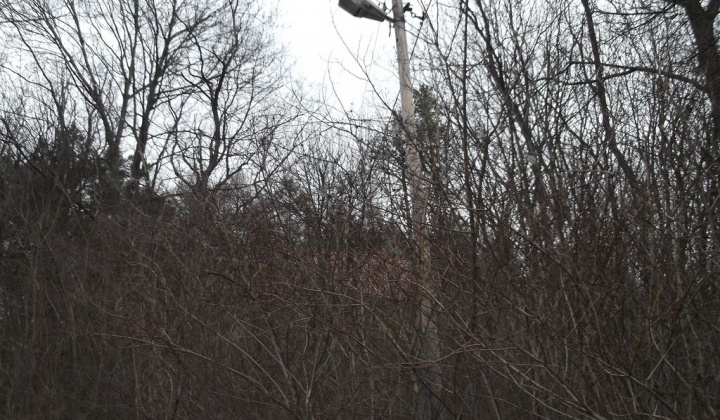 1. fotografia fotogalérie Projekty / Svietidlá verejného osvetlenia v obci boli značne poškodené. - foto