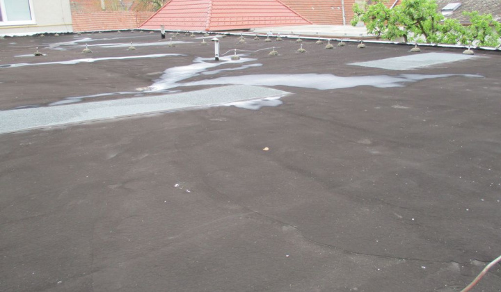 2. fotografia fotogalérie Projekty / Materská škola - foto