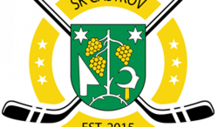 3. fotografia fotogalérie Šport / ŠK Častkov – hokejbal - foto